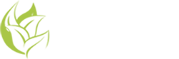 nefazz.com